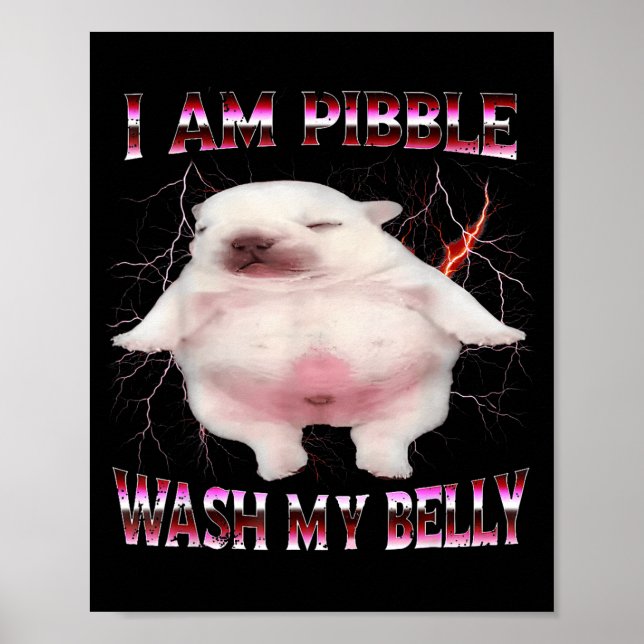 I Am Bble Wash My Belly Funny Dog Meme  Poster (Front)