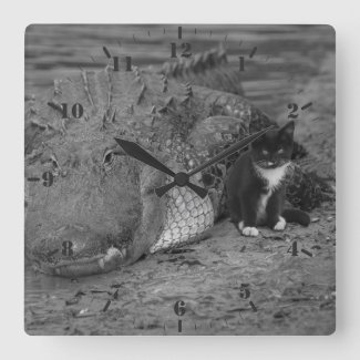 I am brave, how about you? Kitten and alligator 