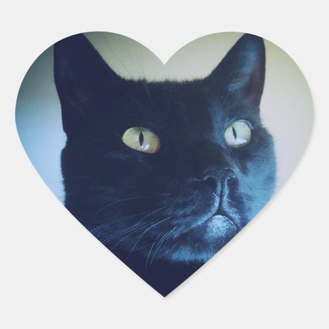 I Am Cat Sticker (Front)