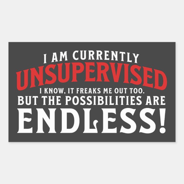 I Am Currently Unsupervised Rectangular Sticker (Front)