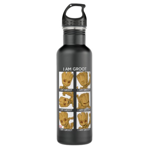 I Am Groot Mood Chart Stainless Steel Water Bottle