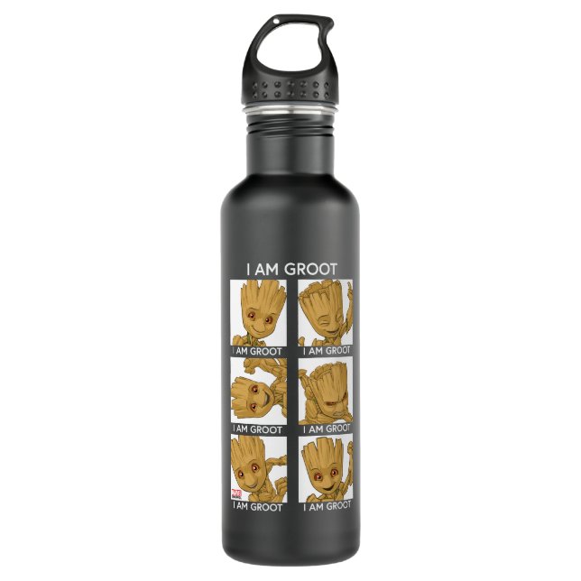 I Am Groot Mood Chart Stainless Steel Water Bottle (Front)