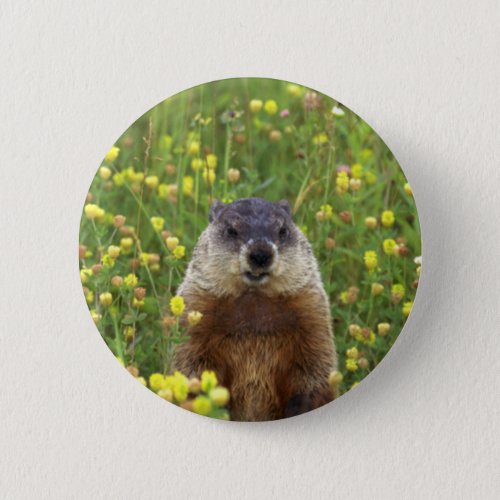 I am Groundhog Button