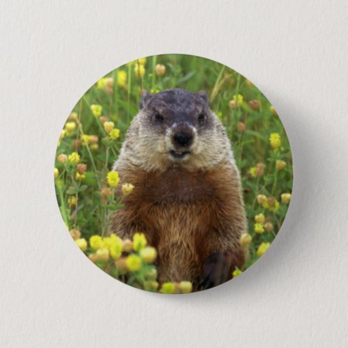 I am Groundhog Button