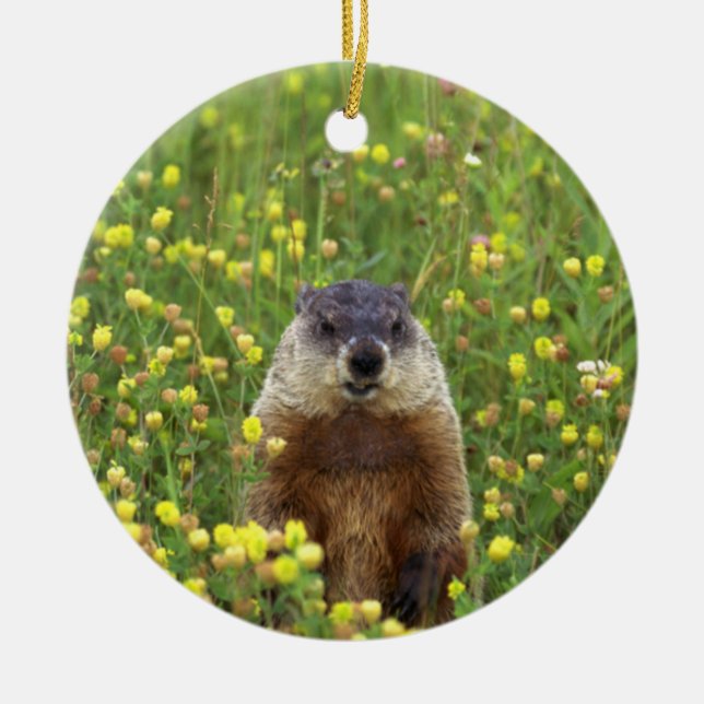 I am Groundhog Ceramic Ornament (Front)