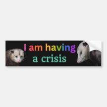 I am having a crisis, funny possum