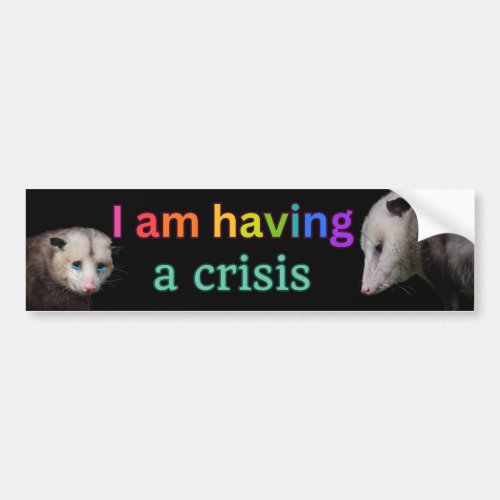 I am having a crisis funny possum bumper sticker