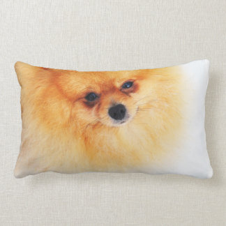 I am Here! Lumbar Pillow