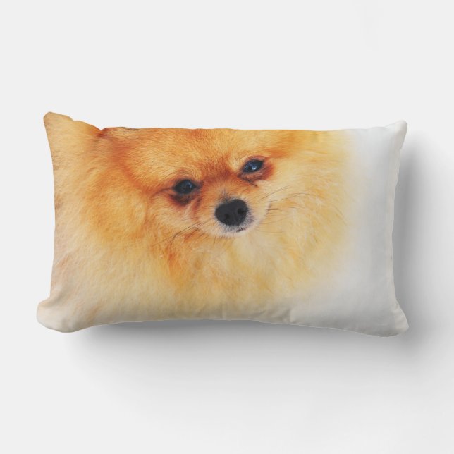 I am Here! Lumbar Pillow (Front)