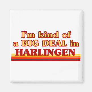 I am kind of a BIG DEAL in Harlingen Magnet