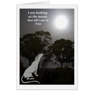 I am looking at the moon cards