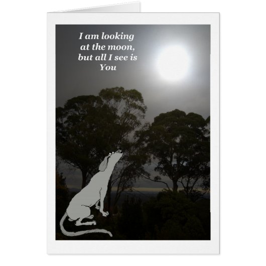 I am looking at the moon cards (Front)
