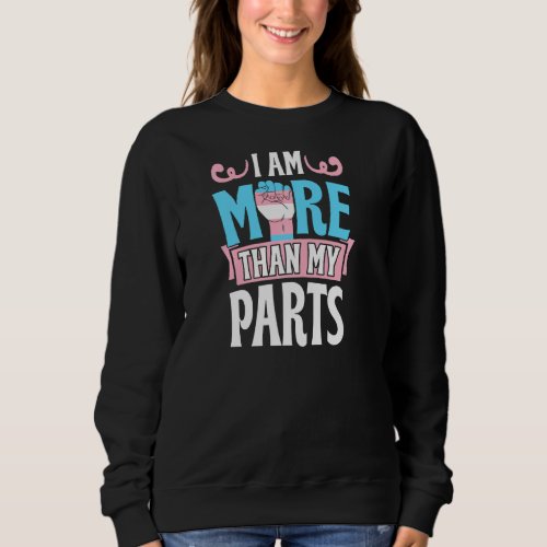 I Am More Than My P S Transgender Pride Style Aest Sweatshirt