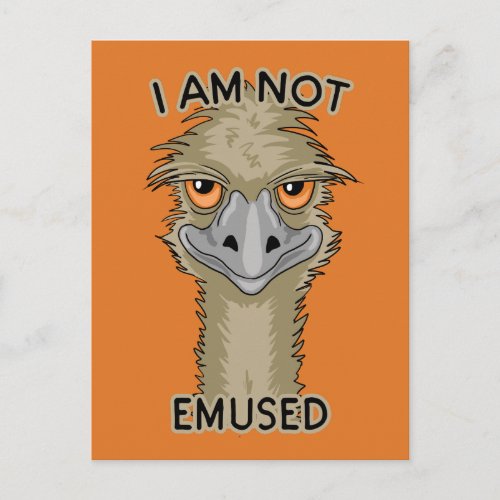 I Am Not Emused Funny Emu Pun  Orange Holiday Postcard