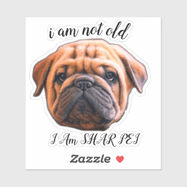 I AM NOT OLD STCKER STICKER (Sheet)
