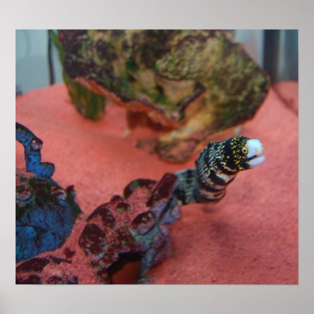 I am NOT slimy! Poster (Front)