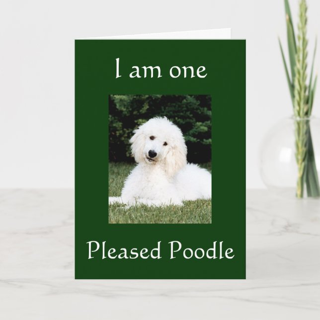 "I AM ONE PLEASED POODLE" THANK YOU (Front)