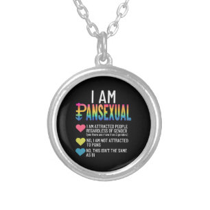 I Am Pansexual - LGBTQIA Pride Rainbow Hearts - De Silver Plated Necklace