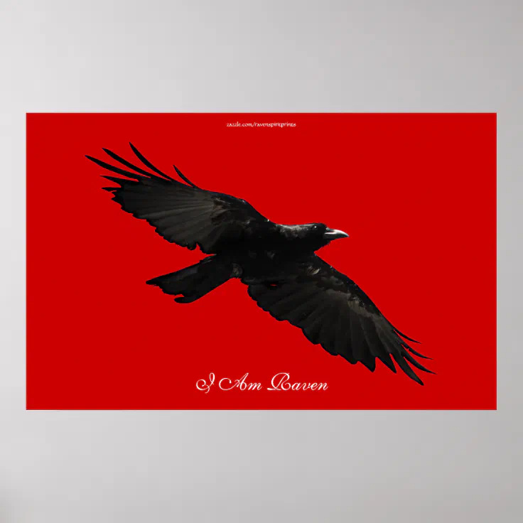 raven flying away
