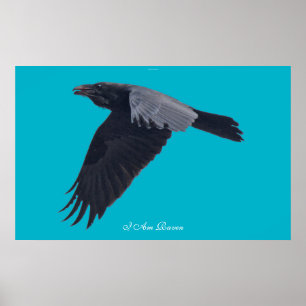 I AM RAVEN V Flying Black Raven Art Poster
