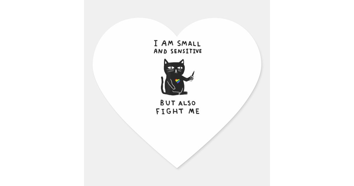 Spilla Smaltata A Forma Di Gatto Con Frase Divertente 'I Am Small And Sensitive But Also Fight Me I Do What I Want' - 4
