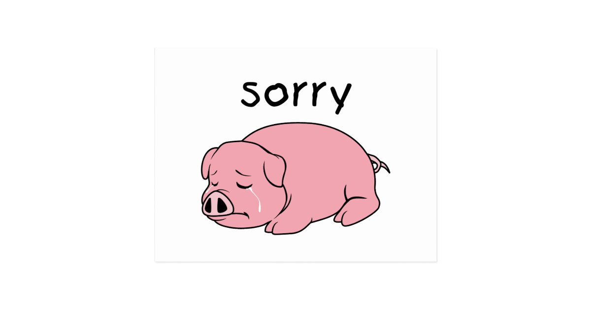 I Am So Sorry Crying Weeping Pink Pig Stamp Cards Zazzle Com - i m so sorry please forgive me decal roblox