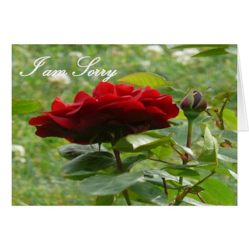 Beautiful 55 Beautiful Rose Card