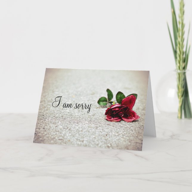 " I am sorry" rose on the street Card (Front)
