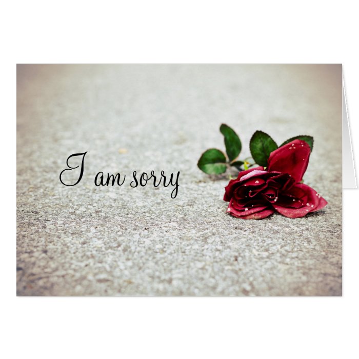 " I am sorry" rose on the street Cards