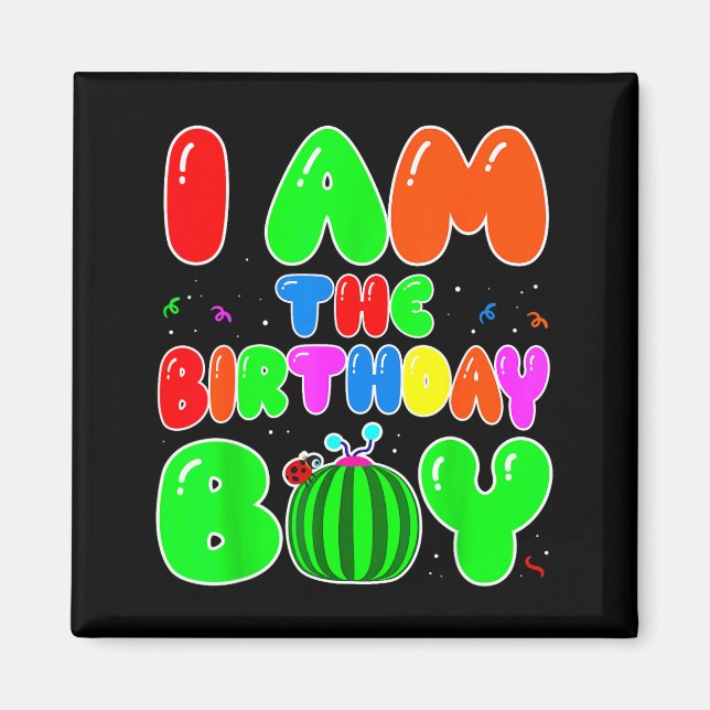 I Am The Birthday Boy Funny Watermelon Birthday Fa Magnet (Front)