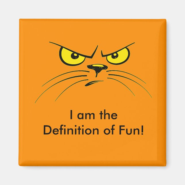 I am the Definition of Fun! / Cat Magnet (Front)
