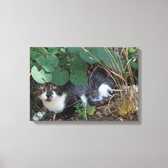 I am the invisible cat canvas print (Front)