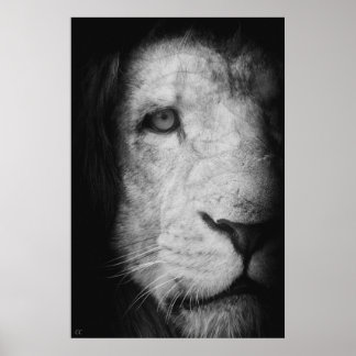 I am the king! poster