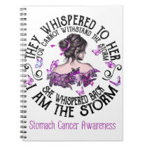 I Am The Storm Stomach Cancer Awareness Notebook