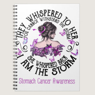 I Am The Storm Stomach Cancer Awareness Notebook