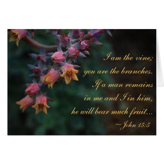 I am the vine... John 15:5 Cards (Front Horizontal)