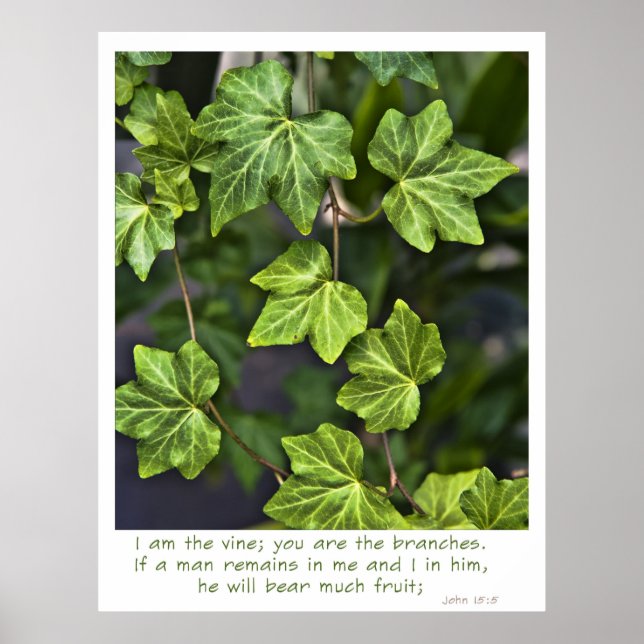 I am the vine Poster John 15:5 quote (Front)