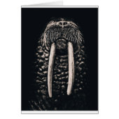 I am the walrus. (Front)