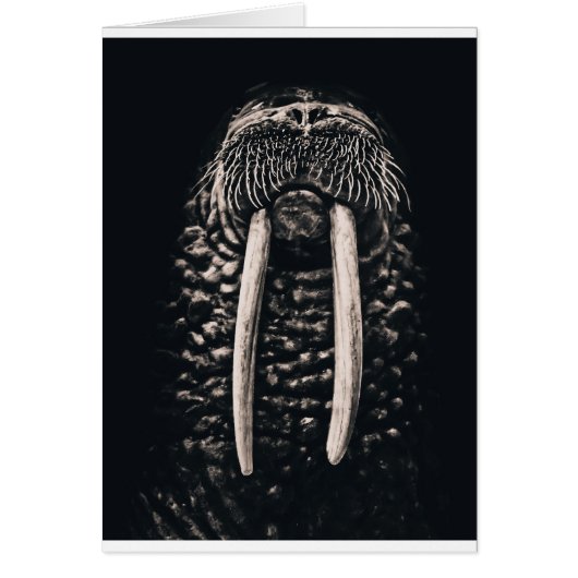 I am the walrus. cards (Front)