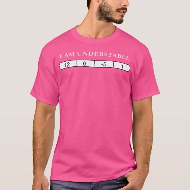 I Am Understable Disc Golf Funny Quote T-Shirt (Front)
