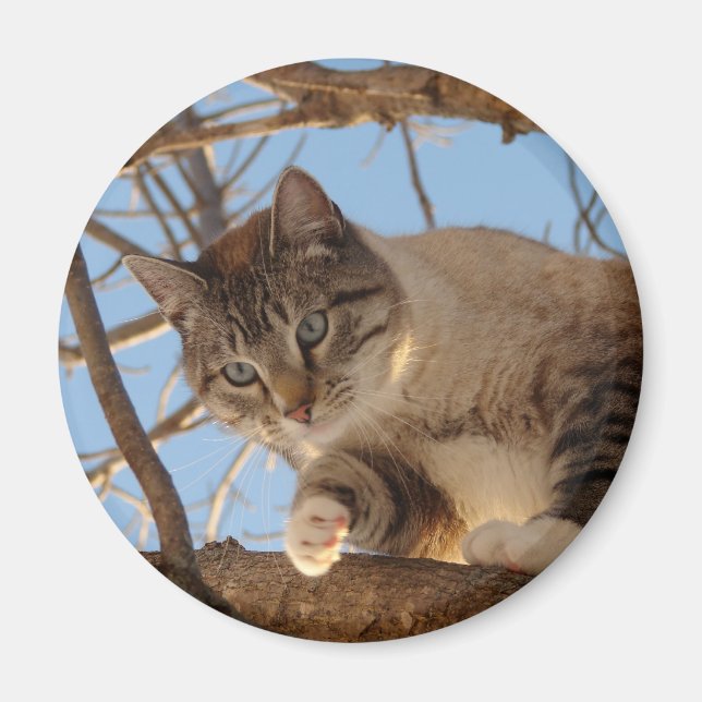 I am Up Here Magnet (Front)