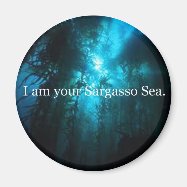 I Am Your Sargasso Sea Magnet (Front)