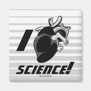 I (Anatomical Heart) Science Magnet