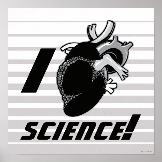 I (Anatomical Heart) Science Poster (Front)