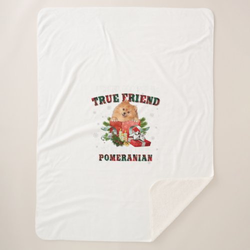 I Asked God For A True Friend Pomeranian Christmas Sherpa Blanket