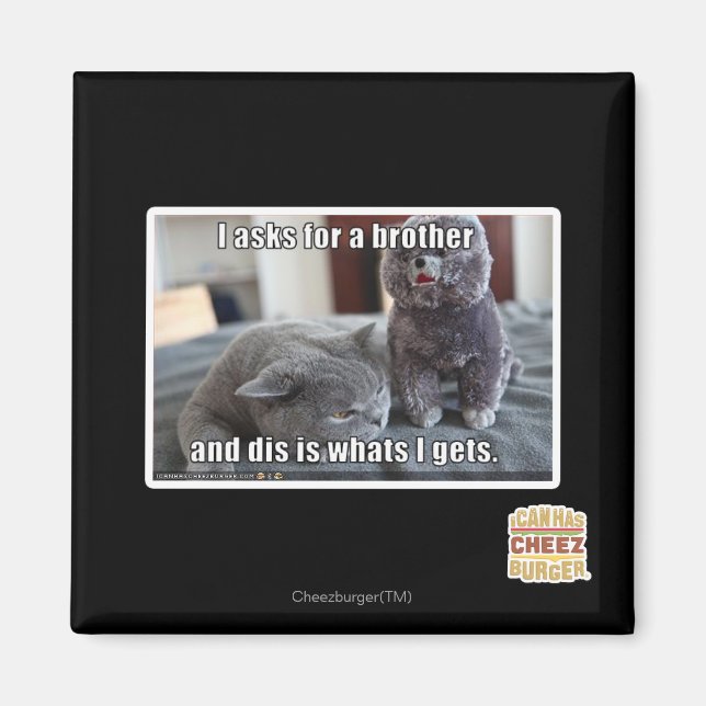 I asks for a brother magnet (Front)