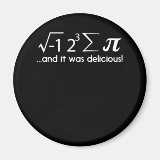 I Ate Some Pi 8 sum pie teacher math T Shirt Magnet