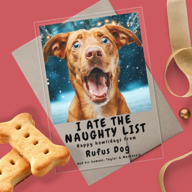 I Ate The Naughty List Dog Christmas Photo Acrylic Invitations (I Ate The Naughty List Dog Christmas Photo Acrylic holiday card by Ricaso. Add your own photograph)