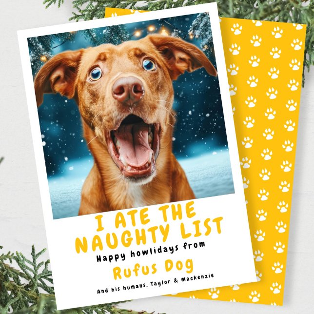 I Ate The Naughty List Dog Christmas Photo Holiday Card (I Ate The Naughty List Dog Christmas Photo Holiday Card
by Ricaso. Add dogs photo & your own text)