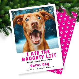 I Ate The Naughty List Dog Christmas Photo Holiday Card